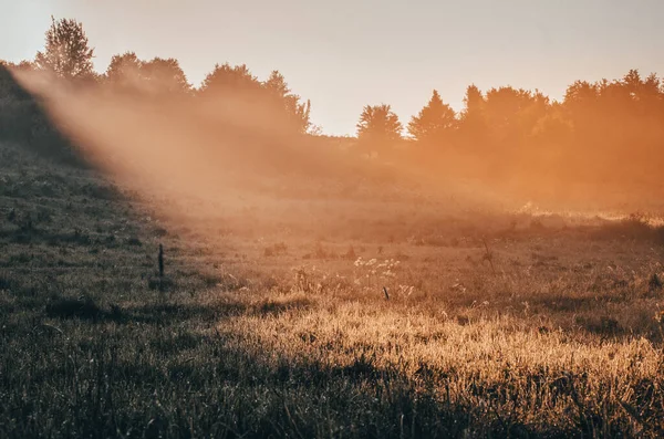 Paisagem Com Campo Centeio Colinas Árvores Névoa Manhã Com Belas — Fotografia de Stock