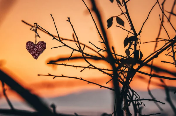 Silhouette Cuori Fatti Casa Nella Natura Durante Calmo Tramonto Invernale — Foto Stock