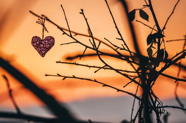 Cuore Fatto Mano Legno Nella Natura Invernale Con Colorati Colori — Foto Stock