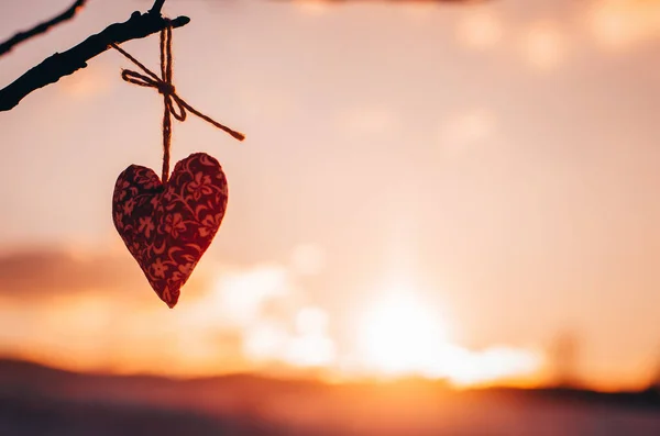 Herzen Warmen Winterschnee Valentinstag Romantisches Date Oder Ehekonzept Foto Mit — Stockfoto