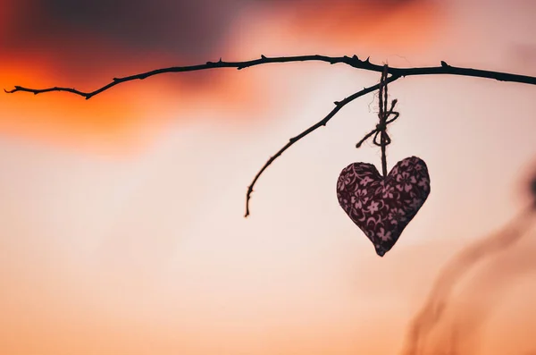 Herzen Warmen Winterschnee Valentinstag Romantisches Date Oder Ehekonzept Foto Mit — Stockfoto