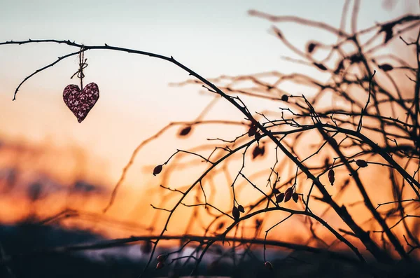 Herzen Warmen Winterschnee Valentinstag Romantisches Date Oder Ehekonzept Foto Mit — Stockfoto