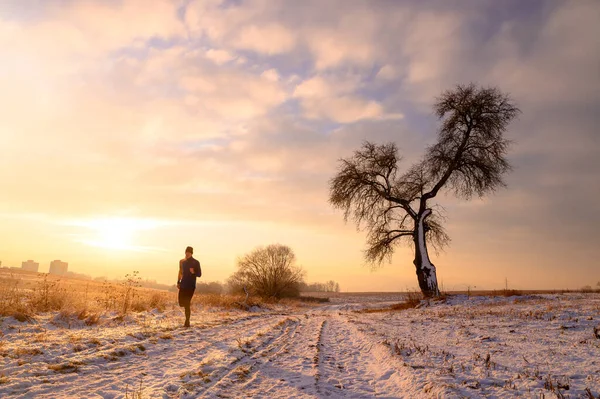 人与魔法树 冬日清晨的橙色风景 编辑空间 — 图库照片