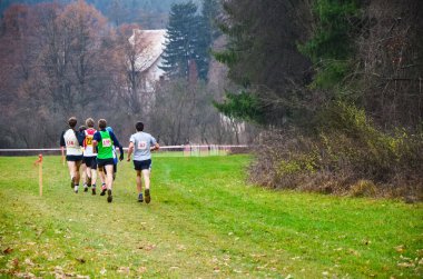 Bir grup profesyonel kros sporcusu sonbahar doğasında yarışacak. Spor ya da oryantasyon çalıştırma kavramı