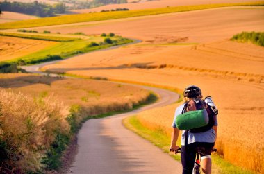 Bisikletçi, yaz tarlaları boyunca bisiklet sürüyor. Altın buğdayla dolu, gezgin çantalı.