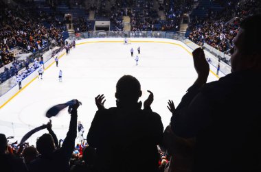 Hokey taraftarı ayakta duruyor ve kaleden sonra stadyumu alkışlıyor - spor, duvar kağıdı..