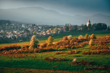 İlkbaharda köy - kilise ve evler - kırsal manzara - ağaçlarda çiçek açan doğa