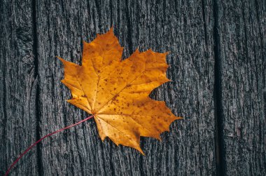 Tahta üzerinde sarı yapraklar olan sonbahar arkaplanı