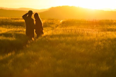 Birbirine aşık çiftler, yaz günbatımında altın çavdar tarlasında birlikte eğlenirler..