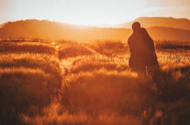Birbirine aşık çiftler, yaz günbatımında altın çavdar tarlasında birlikte eğlenirler..