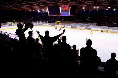Hokey taraftarı ayakta duruyor ve kaleden sonra stadyumu alkışlıyor - spor, duvar kağıdı..