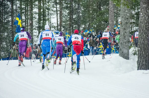Nordic ski race, professional cross country competition. Fans on stadium. Photo for winter game,