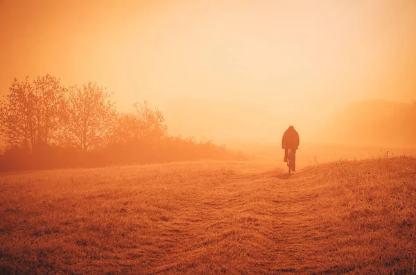 Mann Fährt Bei Sonnenuntergang Mit Fahrrad Durch Landwirtschaftliches Feld — Stockfoto