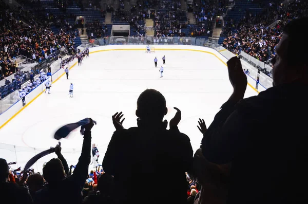 Fan Hockey Debout Applaudissements Sur Stade Après Sport Fond Écran — Photo