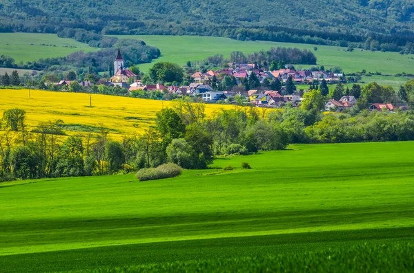 Landwirtschaftlicher Frühling Raps Und Weizenfeld Über Dorf Ländliche Landschaft Mit — Stockfoto
