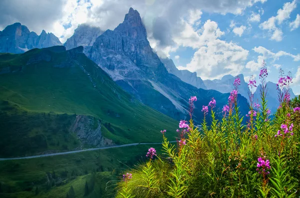 Majestuosa Vista Del Cimon Della Pala Con Passo Rolle Parque —  Fotos de Stock