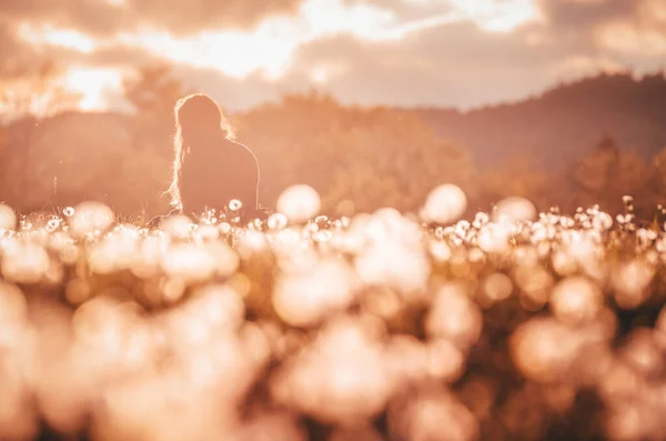 Beautiful Young Girl Playing Dandelion Field Beautiful Spring Warm Sunset — стоковое фото