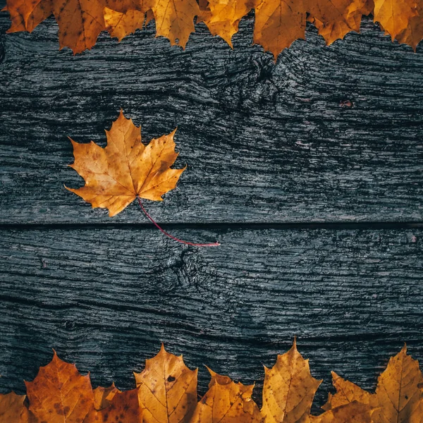 木の板に黄色の葉を持つ秋の背景 — ストック写真