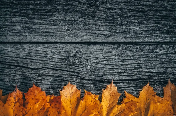Jesienne Tło Żółtymi Liśćmi Drewnianej Desce — Zdjęcie stockowe