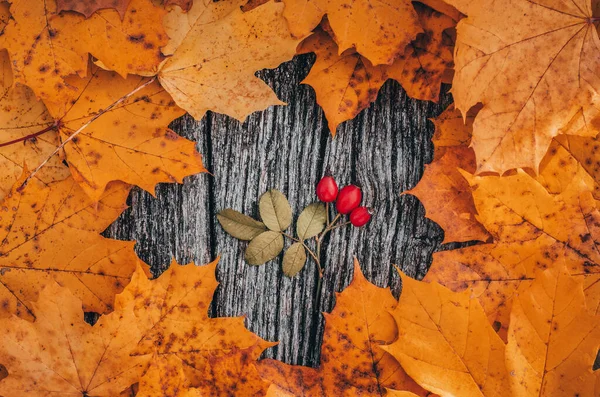 Fond Automne Avec Des Feuilles Couleur Jaune Sur Panneau Bois — Photo