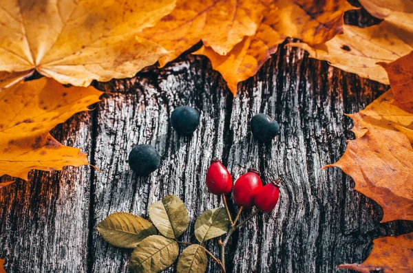 Herfst Achtergrond Met Geel Gekleurde Bladeren Houten Plank — Stockfoto