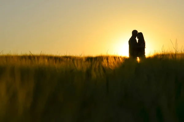 Ζευγάρι Ερωτευμένοι Διασκεδάστε Μαζί Χρυσό Χωράφι Σίκαλης Στο Φως Του — Φωτογραφία Αρχείου