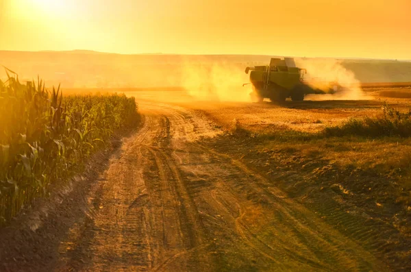 Maszyna Zbiorów Polu Pszenicy Rolniczej Spokojny Letni Wieczór Zdjęcie Letnie — Zdjęcie stockowe