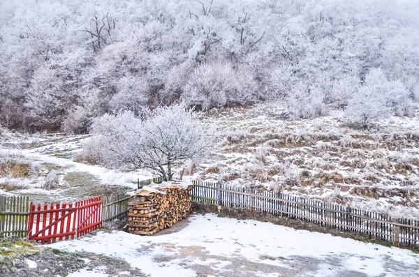 Замороженный Белый Зимний Рождественский Пейзаж Покрытый Снегом Туманом — стоковое фото