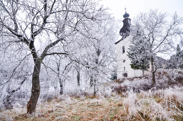 雪と霧に覆われた凍った白い冬のクリスマスの風景 — ストック写真