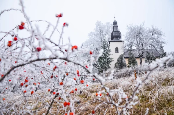 Inverno Branco Congelado Paisagem Natal Coberto Neve Névoa — Fotografia de Stock