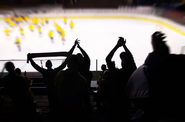 Fan Hockey Debout Applaudissements Sur Stade Après Sport Fond Écran — Photo