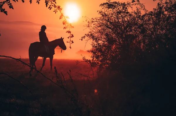 Young Girl Riding Horse Wonderful Calm Autumn Morning Full Mist — Stock Photo, Image