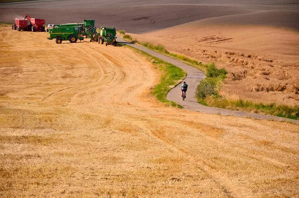 Summer Vacation Trip Bicycle Biker Ride Gold Agricultural Field — Stock Photo, Image