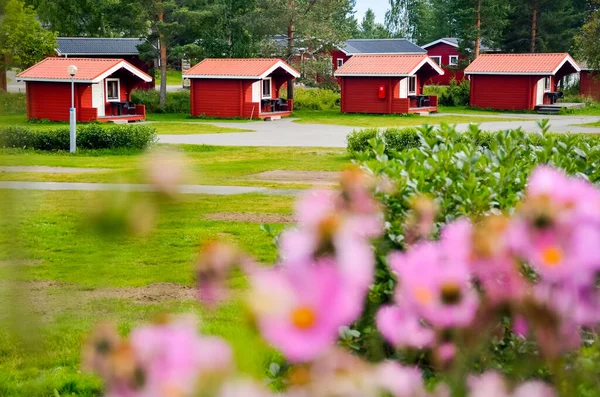 スウェーデンの行に家やフォアグラウンドで素晴らしいリラの花 — ストック写真