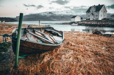 Scandinavian landscape, sever autumn nature, rough wetter, grey colors clipart
