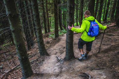 Yeşil elbiseli bir turist ormanda yürüyor.