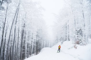 Kışın pistte İskandinav kayakçı - montajınız için alanı olan aktif spor fotoğrafı - kış oyunu için resim