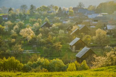 İlkbaharda köy - kilise ve evler - kırsal manzara - ağaçlarda çiçek açan doğa
