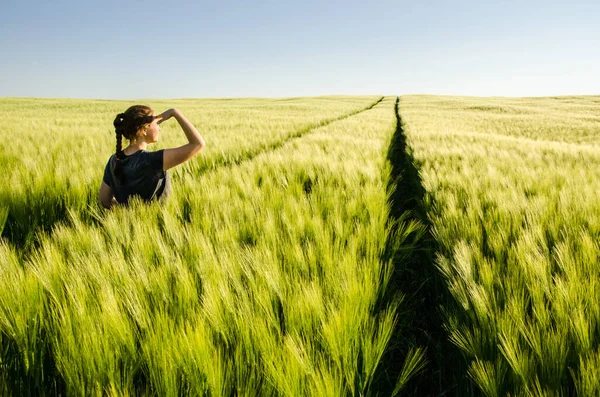 Menina Olhando Para Paisagem Pôr Sol Campo Agrícola Verão Trigo — Fotografia de Stock