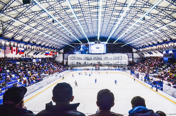 Hockey fan support team on the ice hockey stadium.