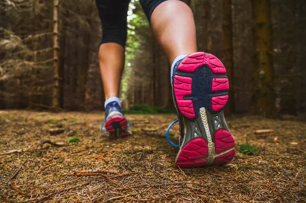 Beine Einer Sportlerin Die Auf Trail Strecke Durch Dunklen Immergrünen — Stockfoto