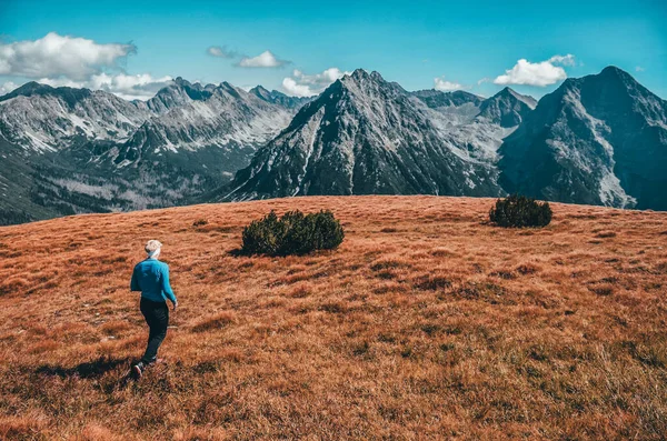 Pré Automne Montagne High Tatras Slovaquie — Photo