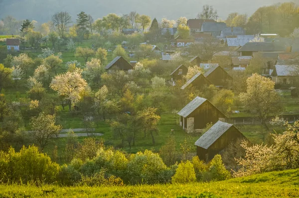 Spring Village Church Houses Rural Scenery Nature Blossom Flowers Trees — Stock Photo, Image