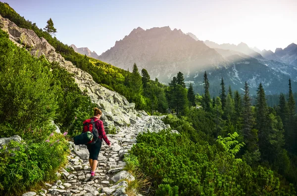 Caminhante Feminina Verdes Montanhas Verão — Fotografia de Stock