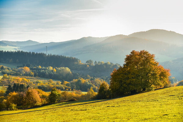 Rocky mountains and colorful trees. Green meadow and blue sky. Sulov, Slovakia.