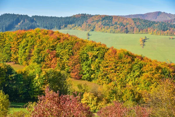 Höstäng Träd Och Blå Himmel — Stockfoto