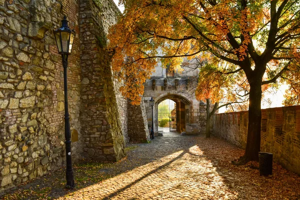 Antigua Muralla Medieval Del Castillo Bratislava Países Bajos — Foto de Stock