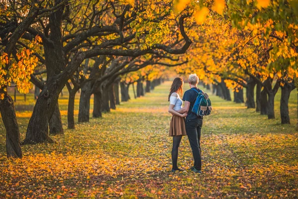 Verliefd Stel Herfst Steeg Originele Foto Van Liefde Datum Relatie — Stockfoto