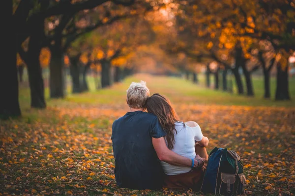 Man and woman in love together in autumn nature, trees alley. Photo with vintage soft orange color. Blurred background, copy space. Autumn, date, valentine concept photo.
