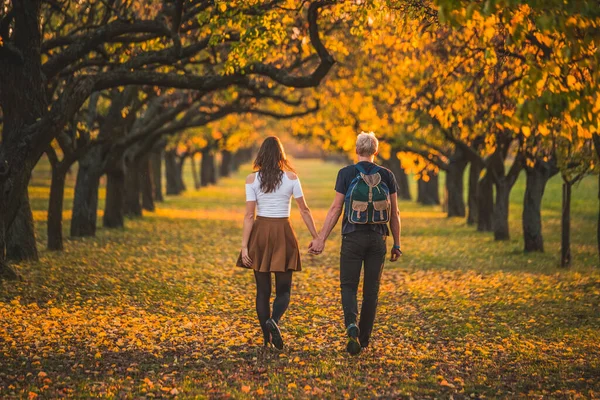 Man and woman in love together in autumn nature, trees alley. Photo with vintage soft orange color. Blurred background, copy space. Autumn, date, valentine concept photo.